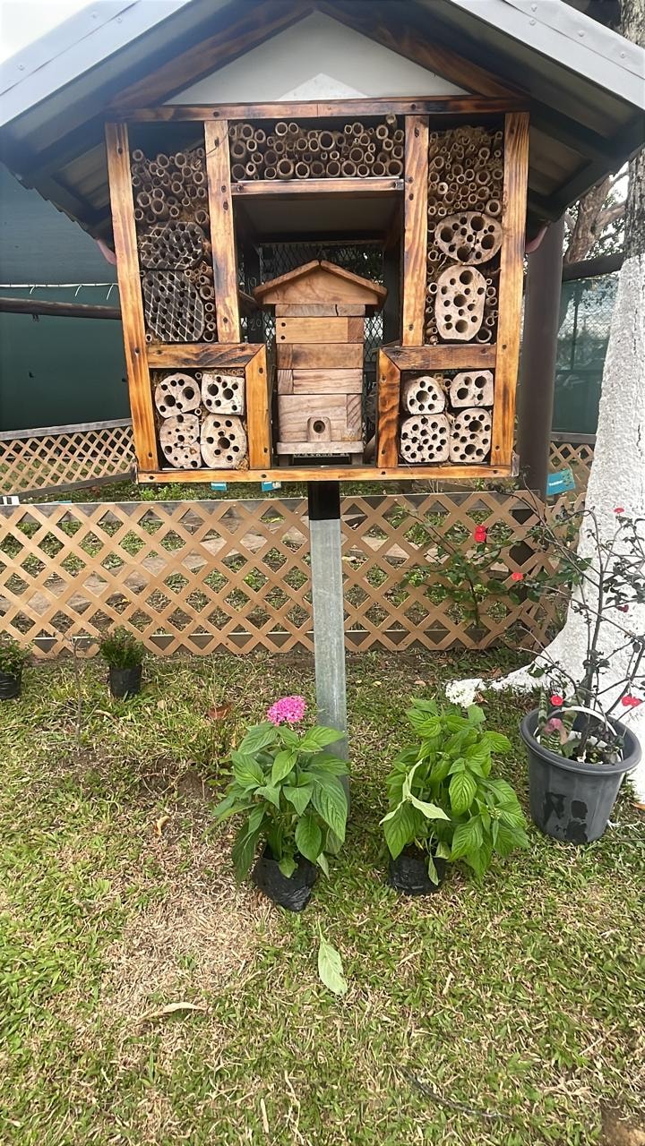 Hotel de abejas en el jardín escolar